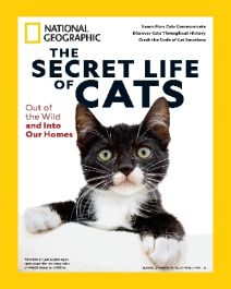 SECRET LIFE OF CATS